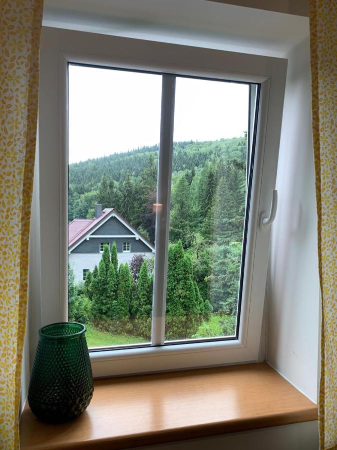Penzion Zelene Udoli Janske Lazne Exterior foto